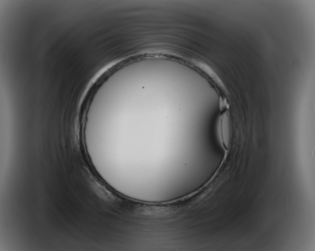 X0000086041076200704131929