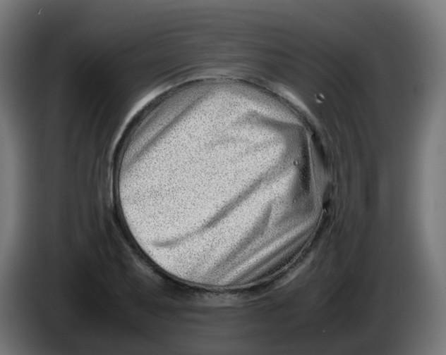 X0000086041079200704131929