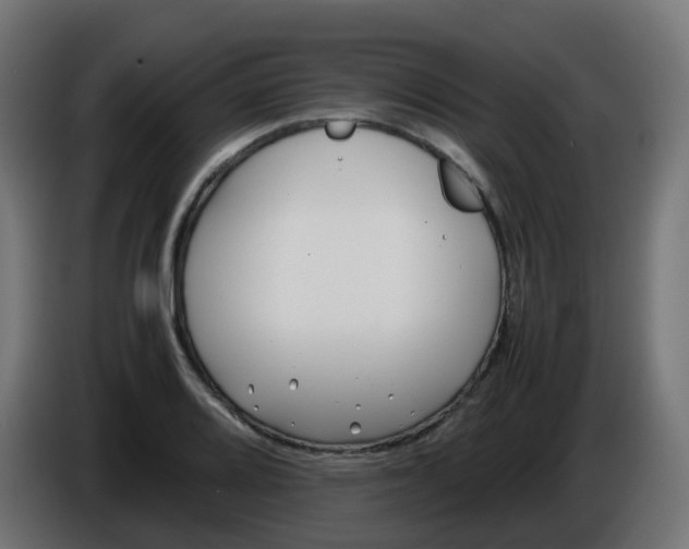 X0000086041080200704131929
