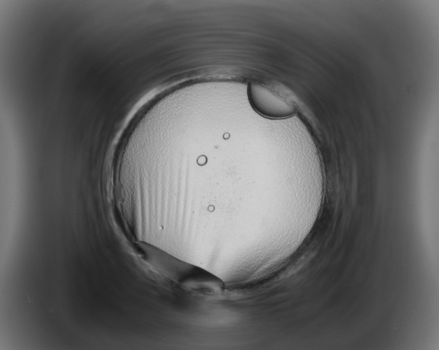 X0000086041083200704131929