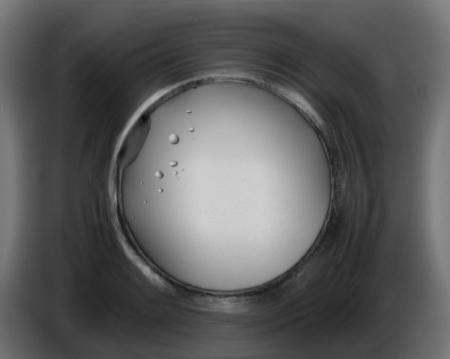 X0000086041084200704131929
