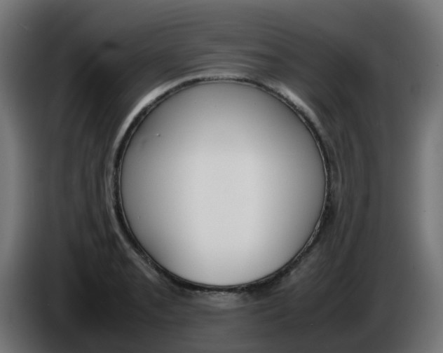 X0000086041085200704131929