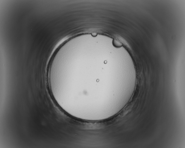 X0000086041087200704131929