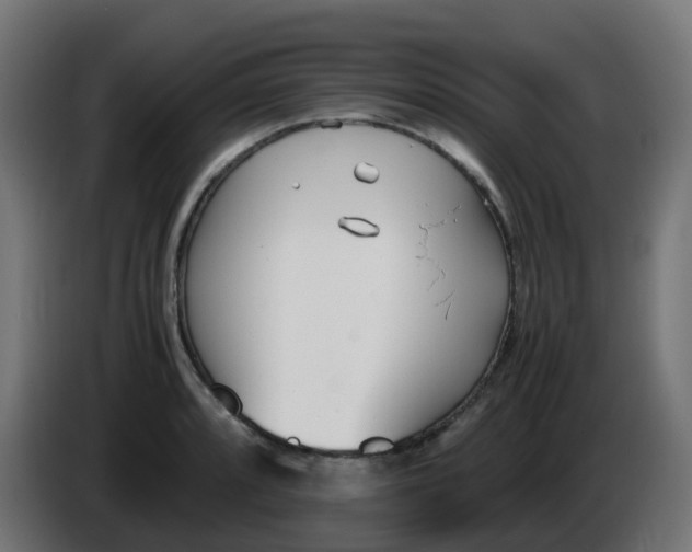 X0000086041088200704131929