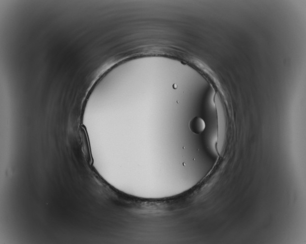 X0000086041089200704131929