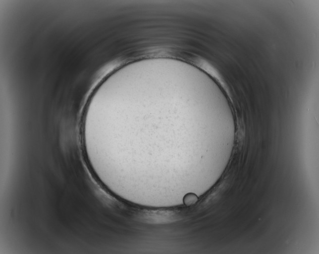 X0000086041090200704131929