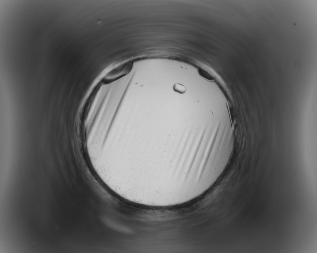 X0000086041091200704131929