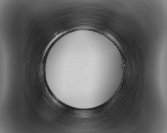 X0000086041092200704131929