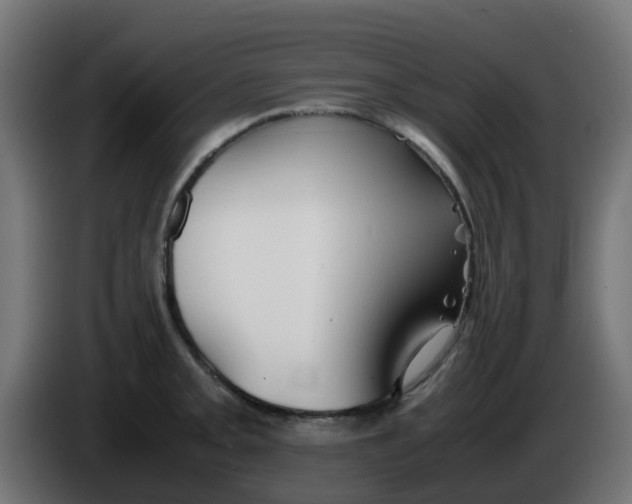 X0000086041093200704131929