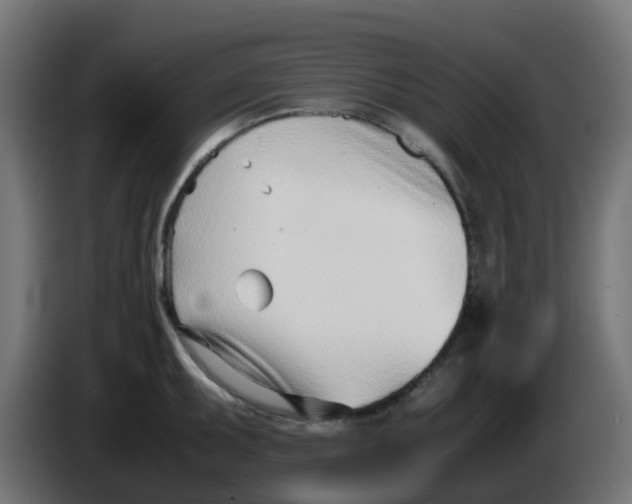 X0000086041095200704131929
