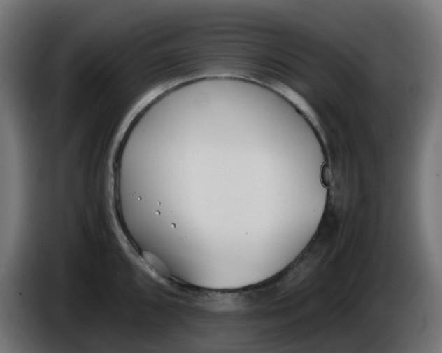X0000086041096200704131929