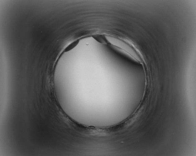 X0000086041097200704131929