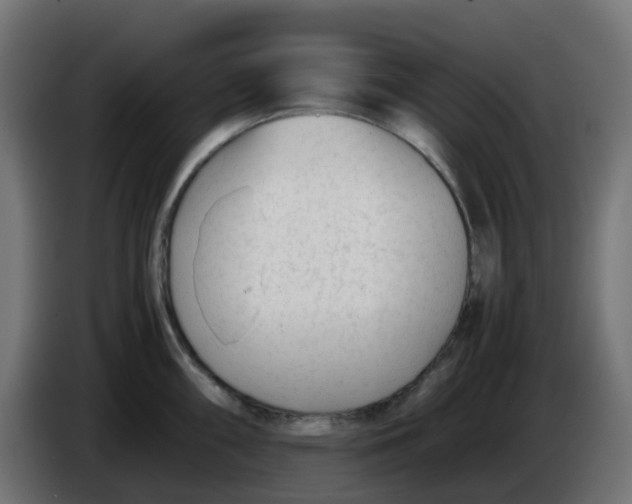 X0000086041098200704131929