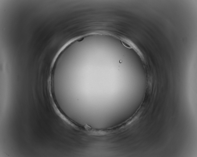 X0000086041100200704131929