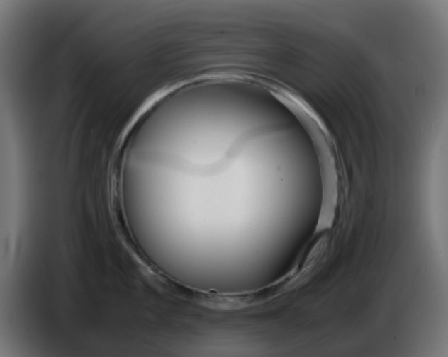 X0000086041101200704131929