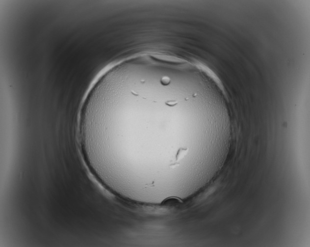 X0000086041103200704131929