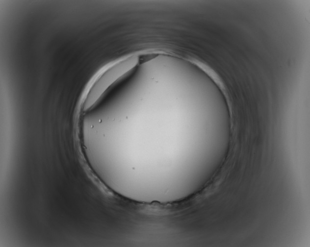 X0000086041104200704131929
