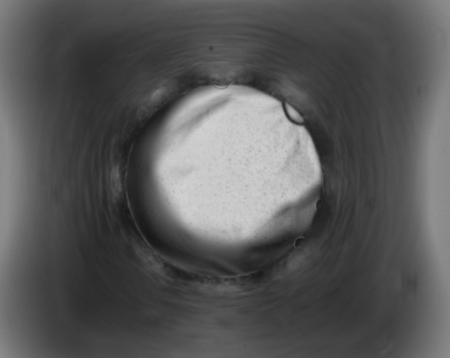 X0000086041106200704131928
