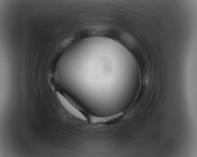 X0000086041108200704131928