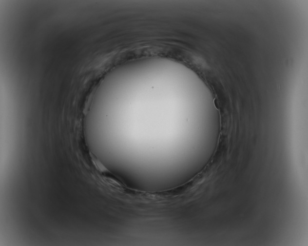 X0000086041109200704131928
