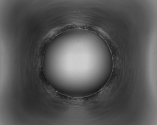 X0000086041110200704131928