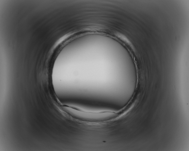 X0000086041114200704131929