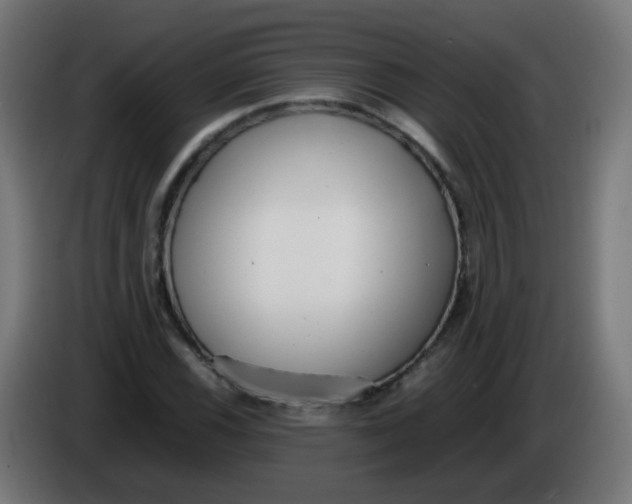 X0000086041116200704131929