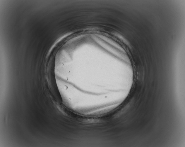 X0000086041117200704131929