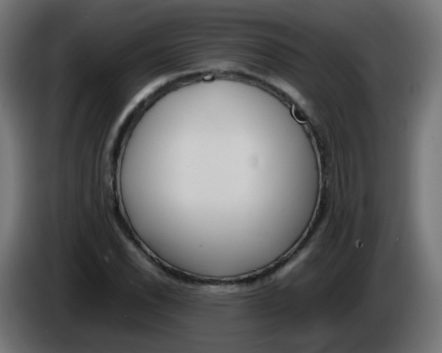 X0000086041118200704131929