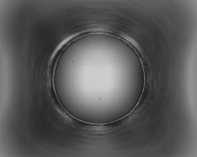 X0000086041120200704131929