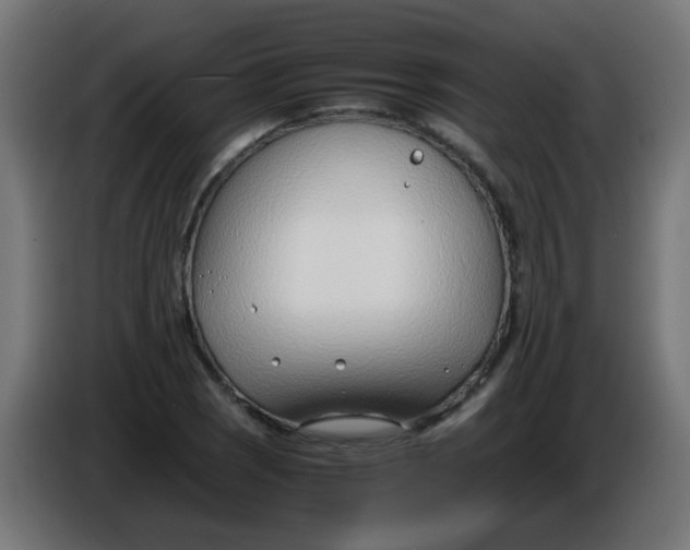 X0000086041121200704131929