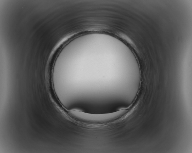 X0000086041122200704131929