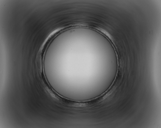 X0000086041123200704131929