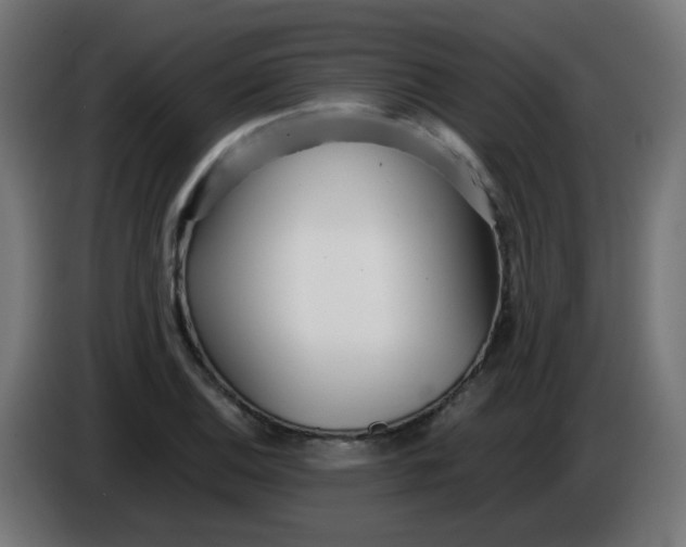 X0000086041124200704131929