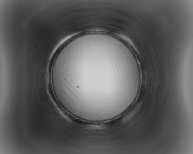 X0000086041125200704131929