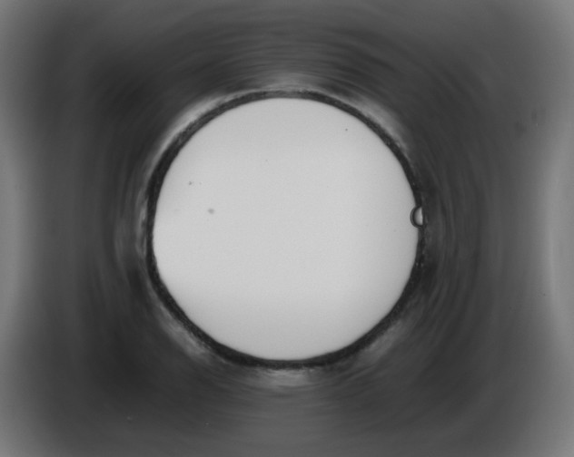 X0000086041126200704131929