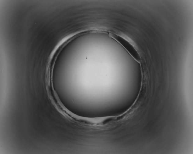 X0000086041128200704131929