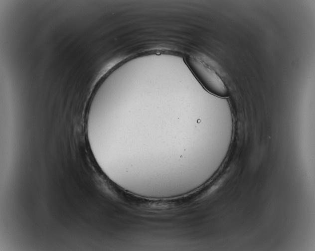 X0000086041129200704131929