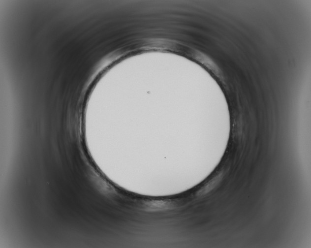 X0000086041130200704131929