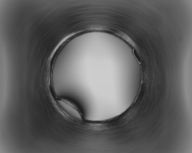 X0000086041132200704131929