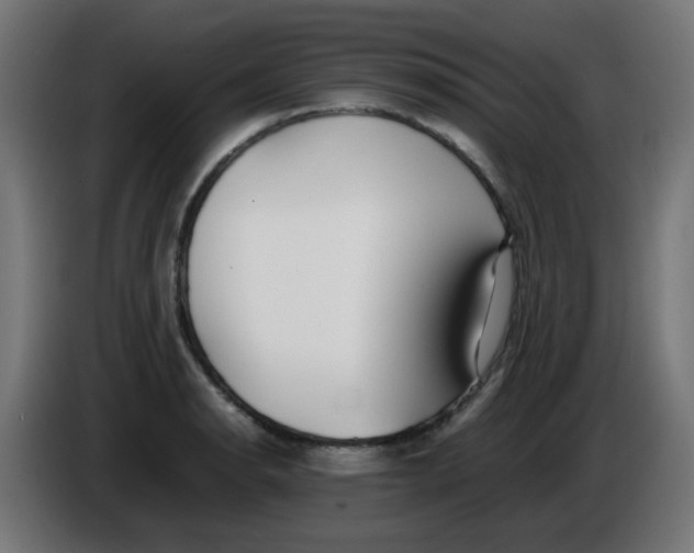 X0000086041134200704131929