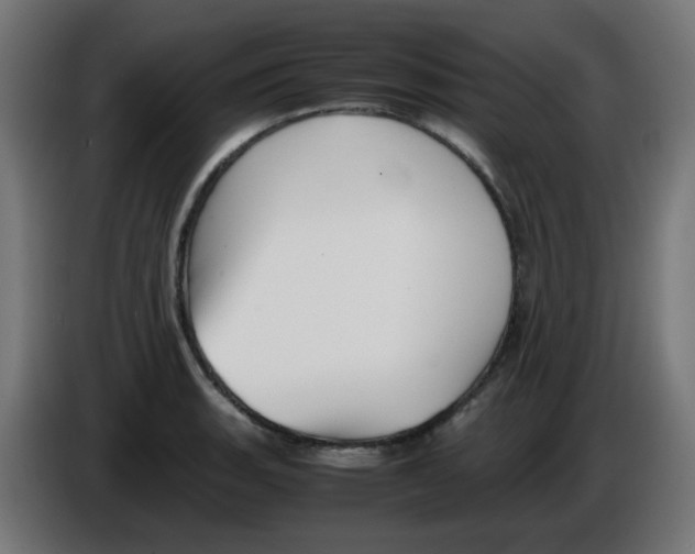 X0000086041135200704131929