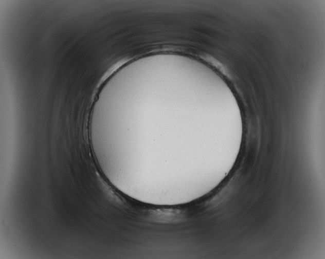 X0000086041137200704131929