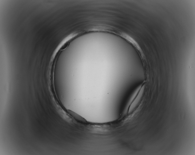 X0000086041138200704131929
