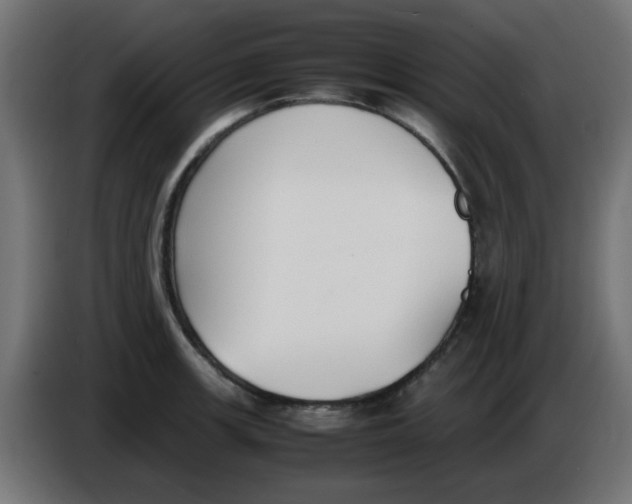X0000086041139200704131929