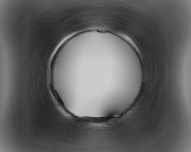X0000086041140200704131929