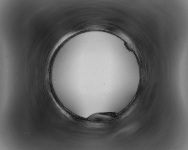 X0000086041141200704131929