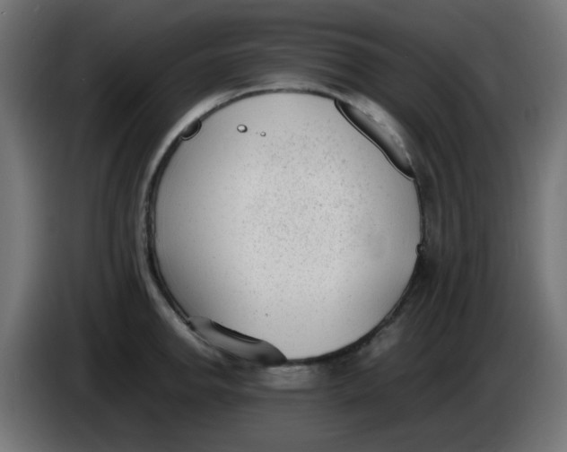 X0000086041142200704131929