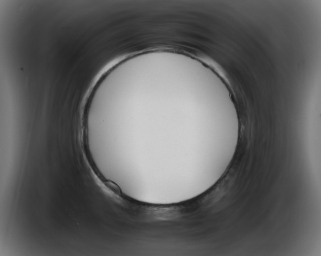 X0000086041143200704131929
