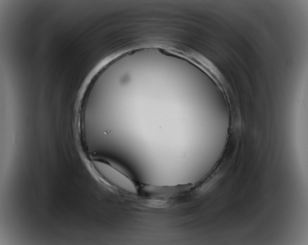X0000086041144200704131929